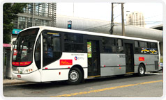 Ônibus do sistema regular